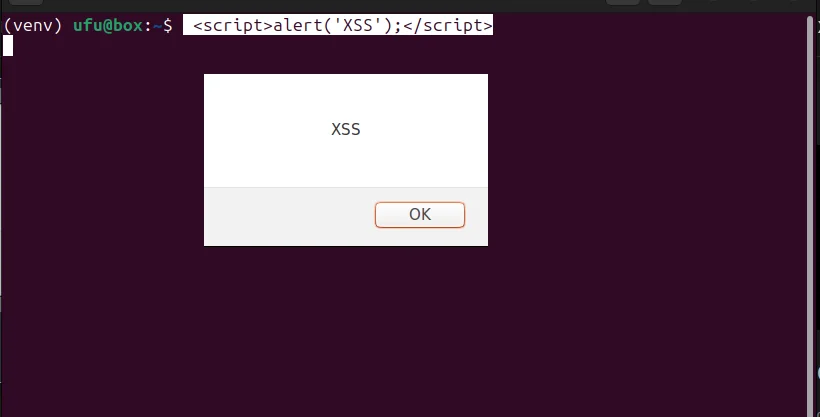 xss.webp