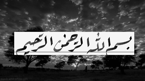 tumblr_mz5yid89ZL1qapk2qo1_500.gif
