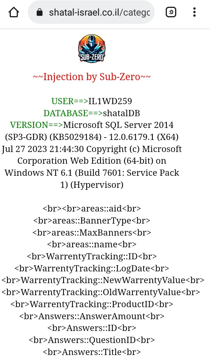 injection sql subzero.webp