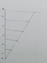 1724354773900.webp