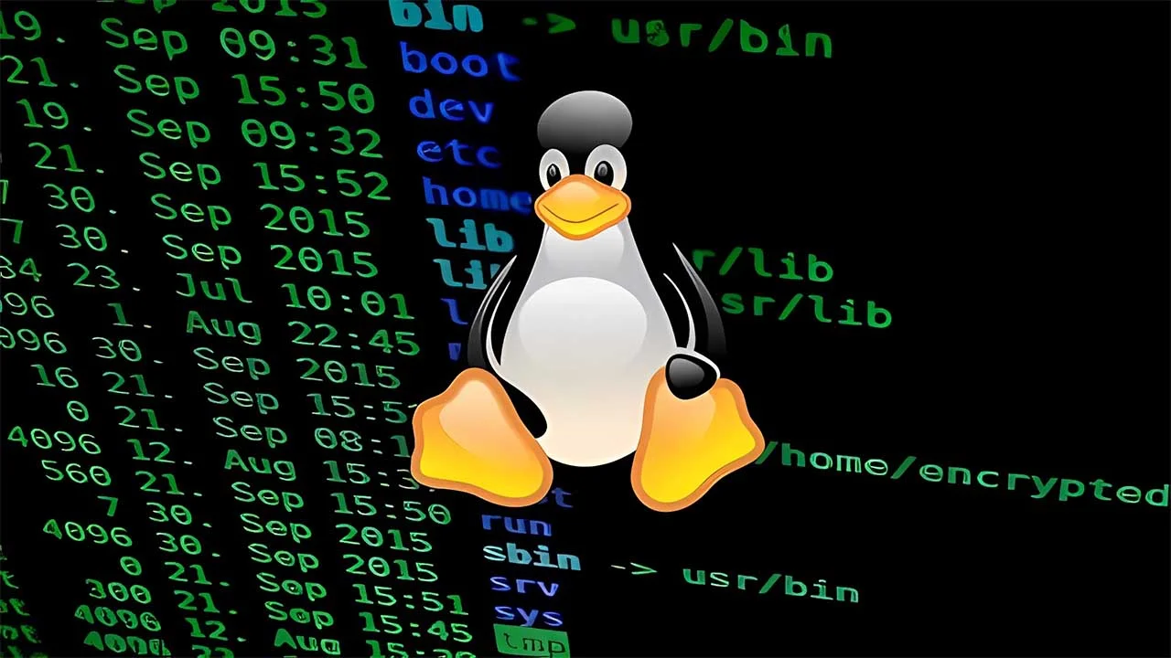 1727445222395.webp