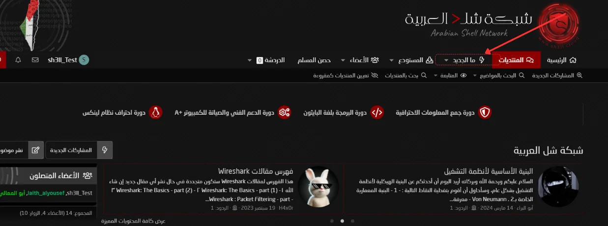 1729330087572.webp