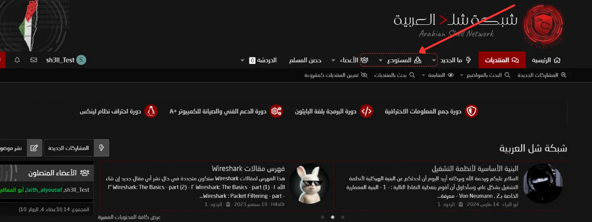 1729331795302.webp