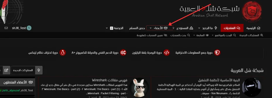 1729337131589.webp