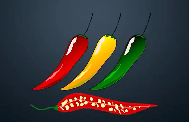 1730141390248.webp
