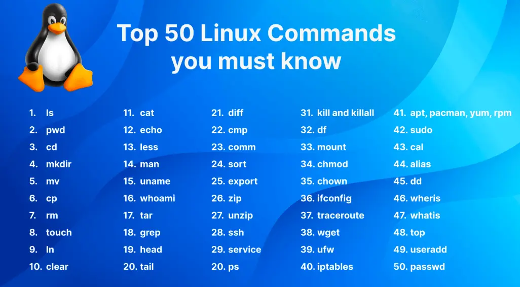 1740407819524.webp
