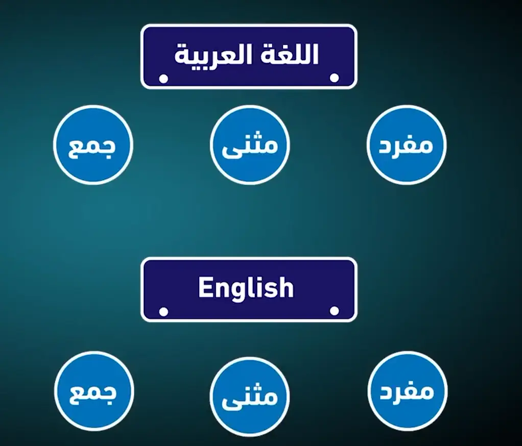 1749659069043.webp