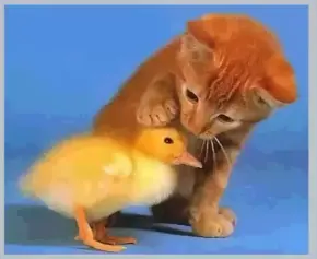 1750385506985.webp