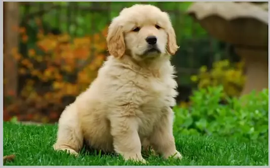 1750835353956.webp