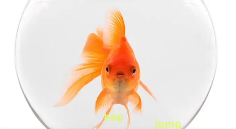 1750836415135.webp