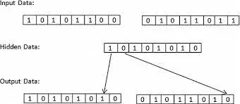 images.webp