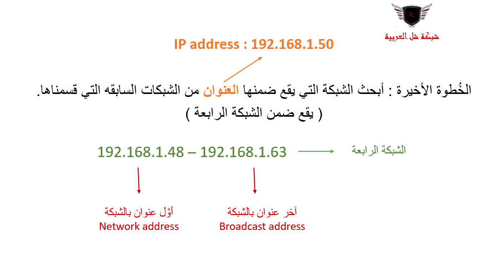1707646936854.png