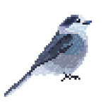 ddhfhj8-816f597c-e3de-4d91-b8fc-8a690a778ec3.png