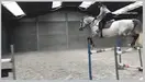 1750836597753.webp