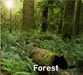 1750938113711.webp